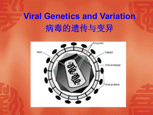 《病毒的遗传与变异》PPT课件
