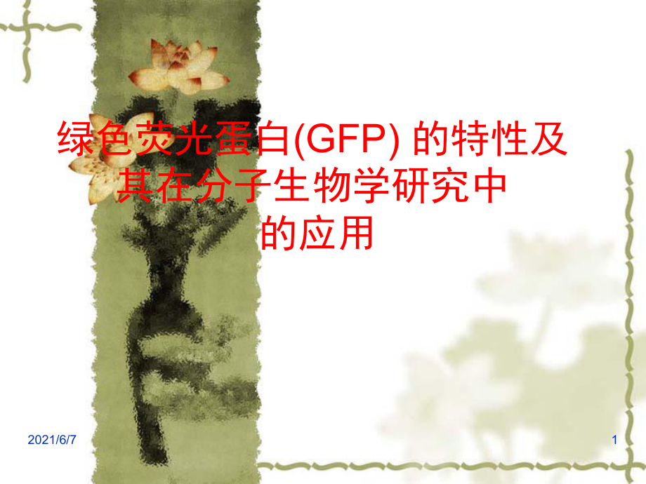 绿色荧光蛋白GFP的特性及其在分子生物学研究中的应用PPT课件_第1页