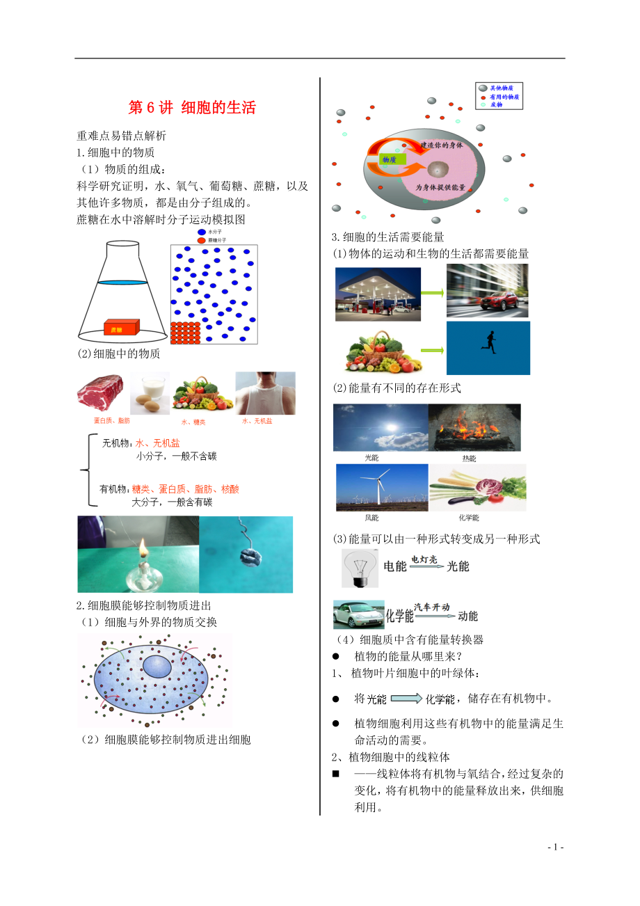 江蘇省大豐市七年級生物上冊 第6講 細胞的生活講義 蘇教版_第1頁