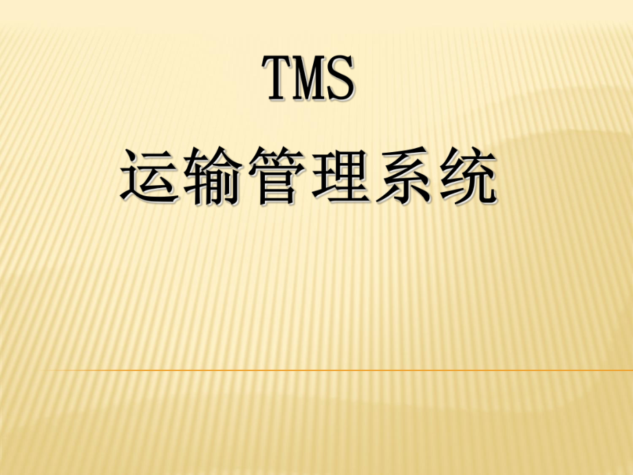 TMS运输管理系统课件_第1页