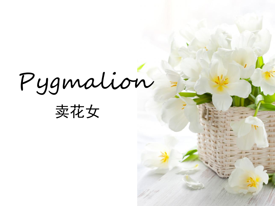 萧伯纳经典戏剧Pygmalion卖花女课堂PPT_第1页