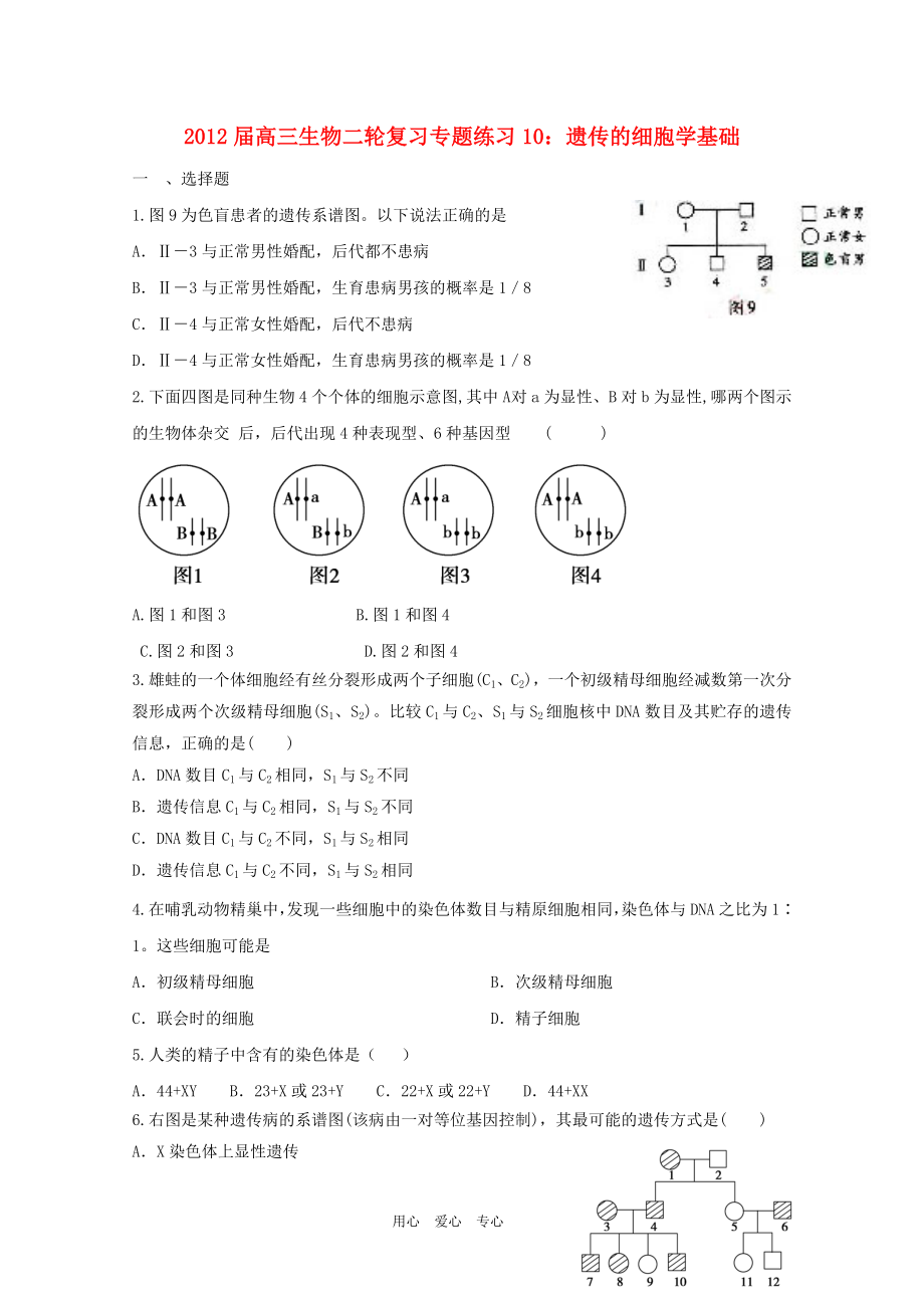 2012屆高三生物二輪復(fù)習(xí) 遺傳的細胞學(xué)基礎(chǔ)專題練習(xí)10_第1頁