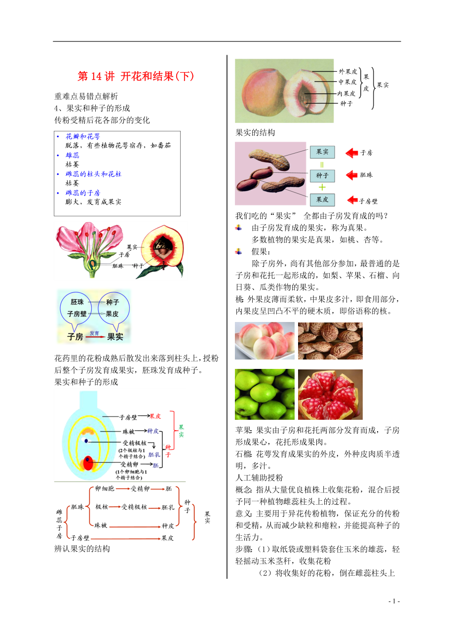 江蘇省大豐市七年級(jí)生物上冊(cè) 第14講 開花和結(jié)果講義 蘇教版_第1頁