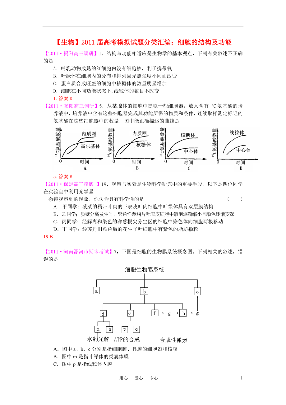 2011屆高考生物模擬試題分類匯編 細胞的結(jié)構(gòu)及功能_第1頁