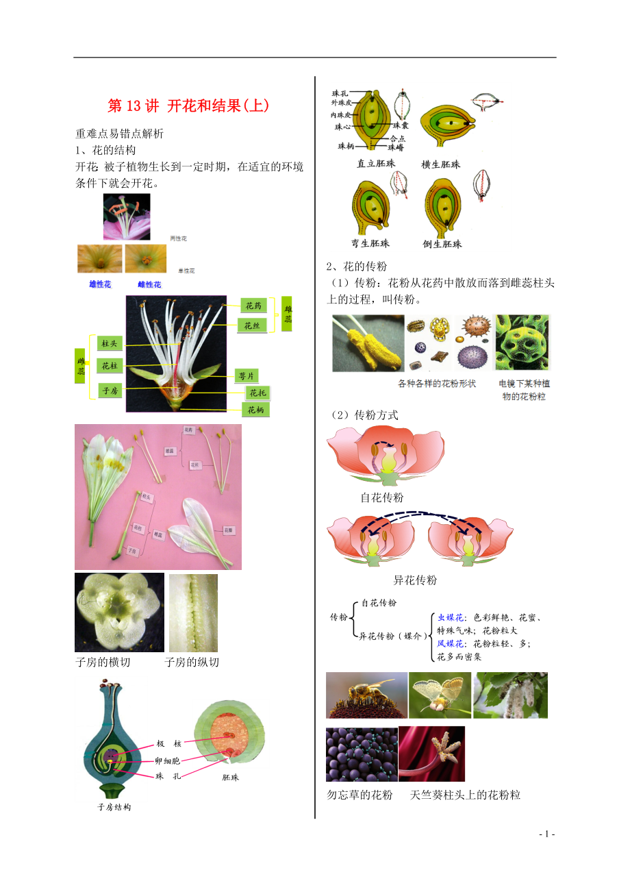 江蘇省大豐市七年級生物上冊 第13講 開花和結(jié)果講義 蘇教版_第1頁