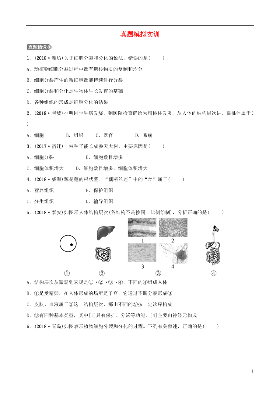 山東省淄博市2019中考生物 第二單元 第三章真題模擬實(shí)訓(xùn)_第1頁(yè)