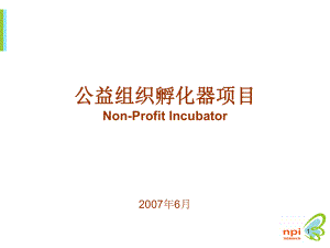 公益组织孵化器项目nonprofitincubator26