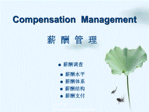 薪酬管理CompensationManagement