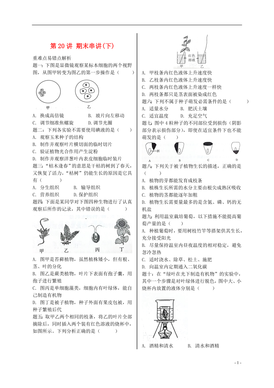 江蘇省大豐市七年級生物上冊 第20講 期末串講（下）講義 蘇教版_第1頁