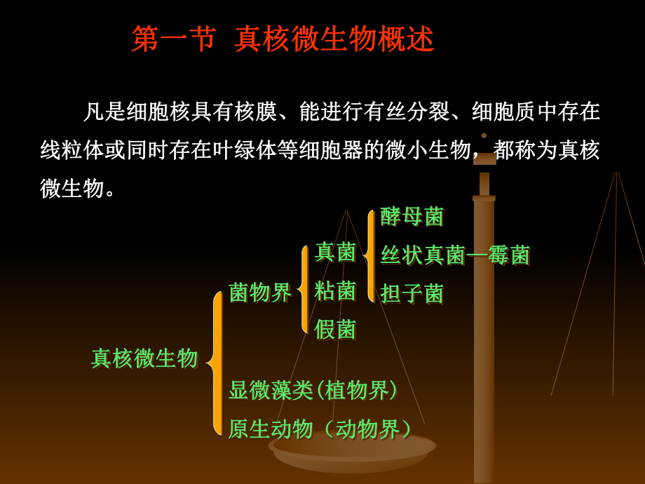 《真核微生物概述》PPT课件_第1页