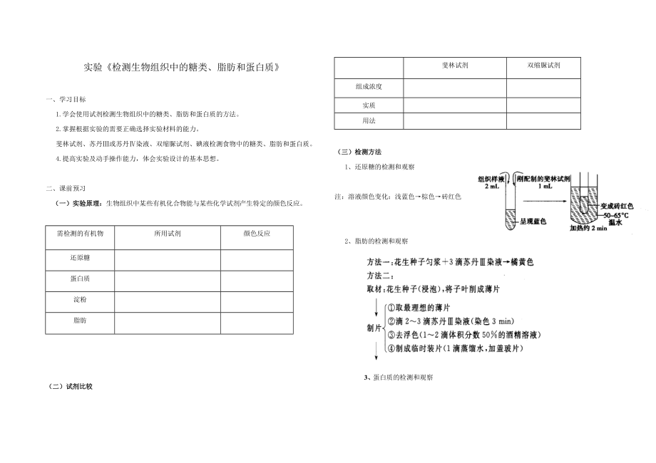 导学案实验《检测生物组织中的糖类、脂肪和蛋白质》_第1页