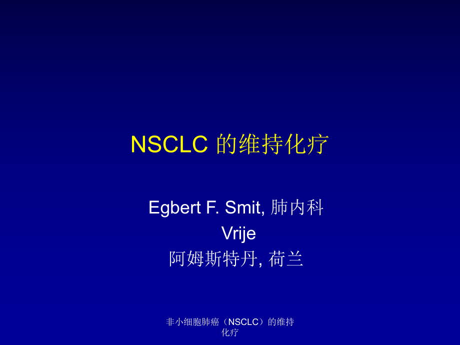 非小细胞肺癌NSCLC的维持化疗课件_第1页