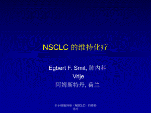 非小细胞肺癌NSCLC的维持化疗课件