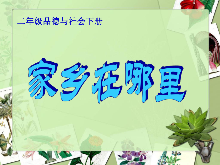 小學二年級品德與社會下冊《家鄉(xiāng)在哪里》課件_第1頁