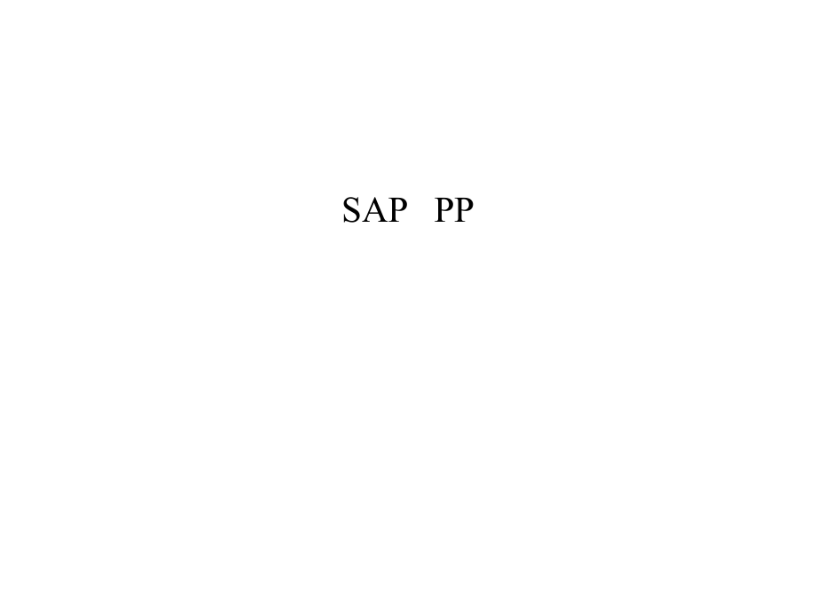 SAPPP简单配置_第1页