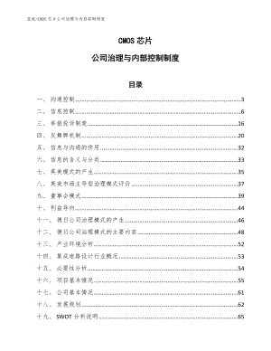 CMOS芯片公司治理与内部控制制度