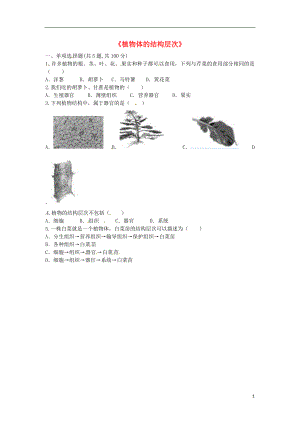 河南省永城市七年级生物上册 第二单元 第二章 第三节《植物体的结构层次》预习检测（无答案）（新版）新人教版