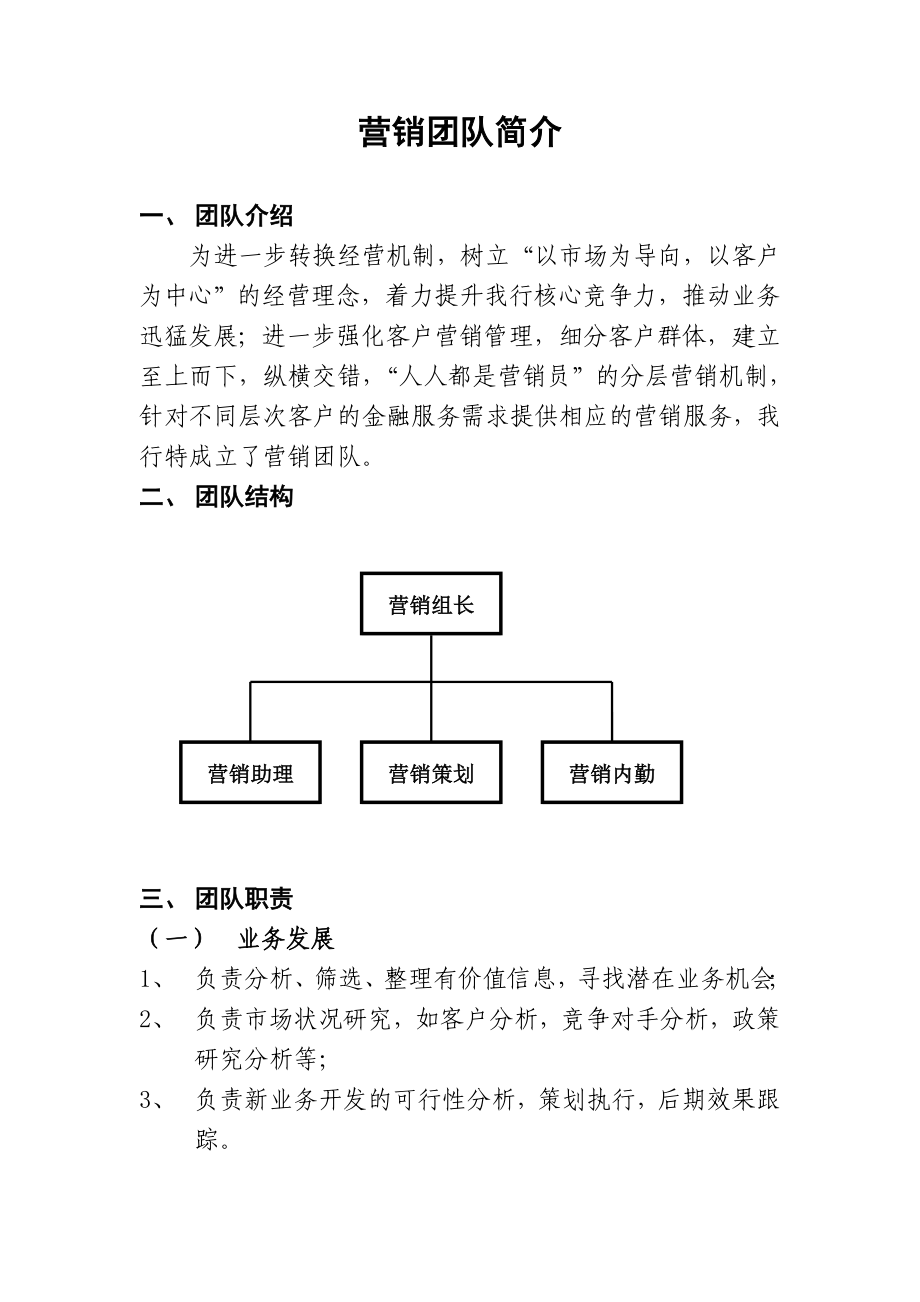 营销团队简介_第1页