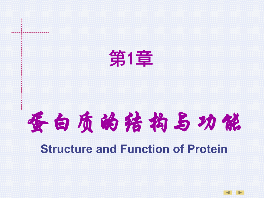 生物化学第01章蛋白质的结构与功能课件_第1页