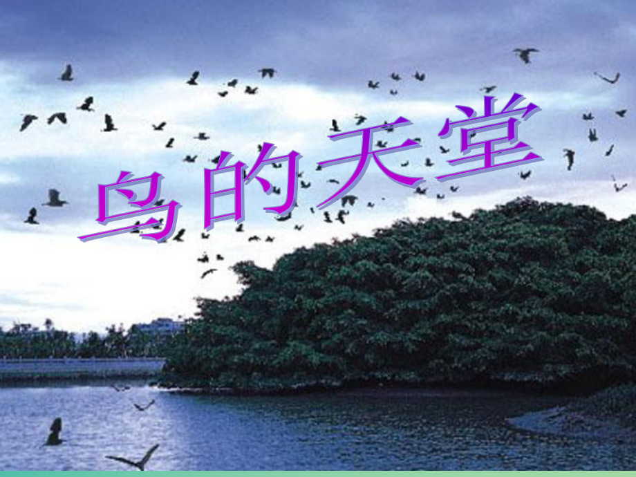 四年級語文上冊《鳥的天堂》課件3 冀教版_第1頁