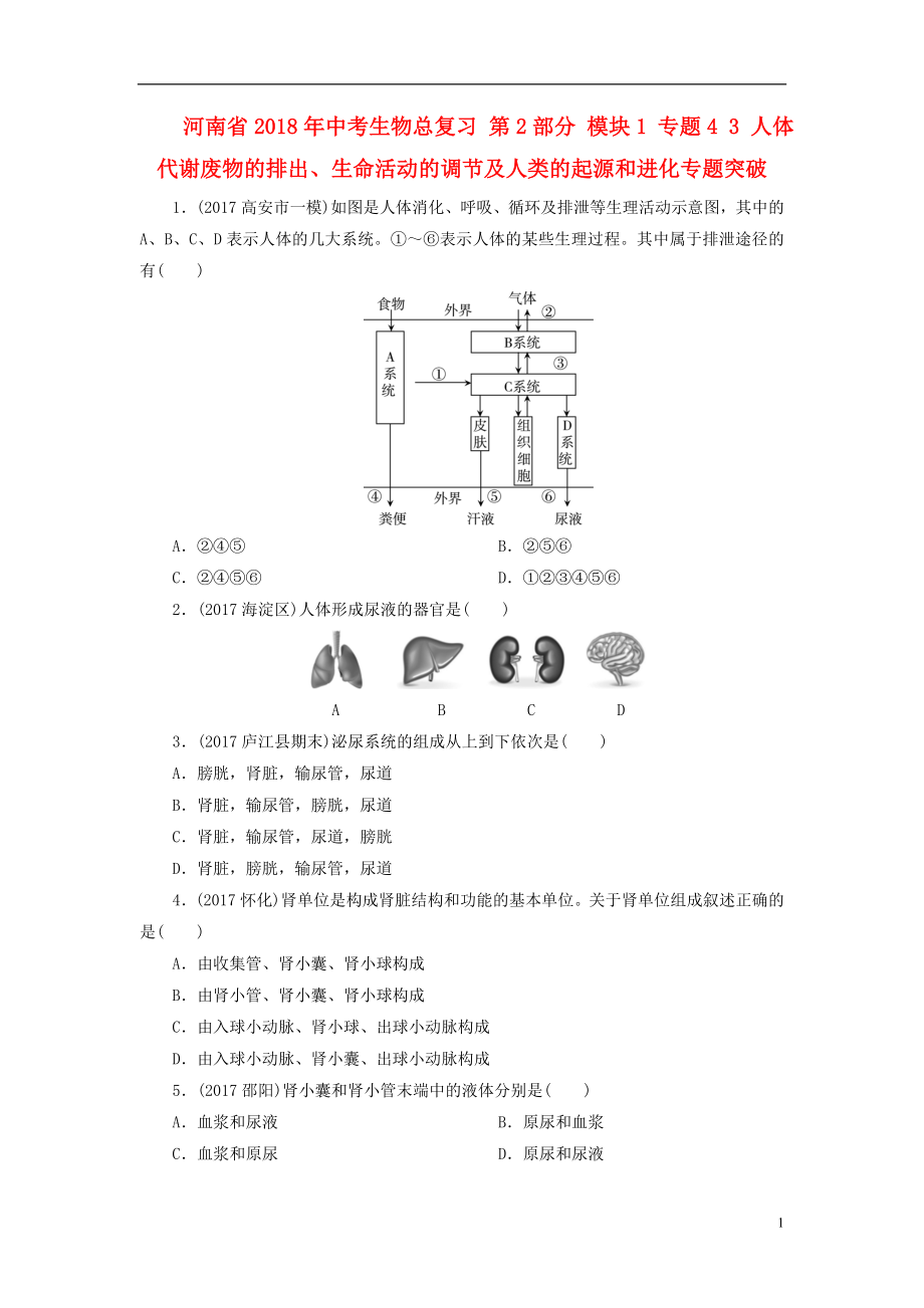 河南省2018年中考生物總復(fù)習(xí) 第2部分 模塊1 專題4 3 人體代謝廢物的排出、生命活動(dòng)的調(diào)節(jié)及人類的起源和進(jìn)化專題突破_第1頁