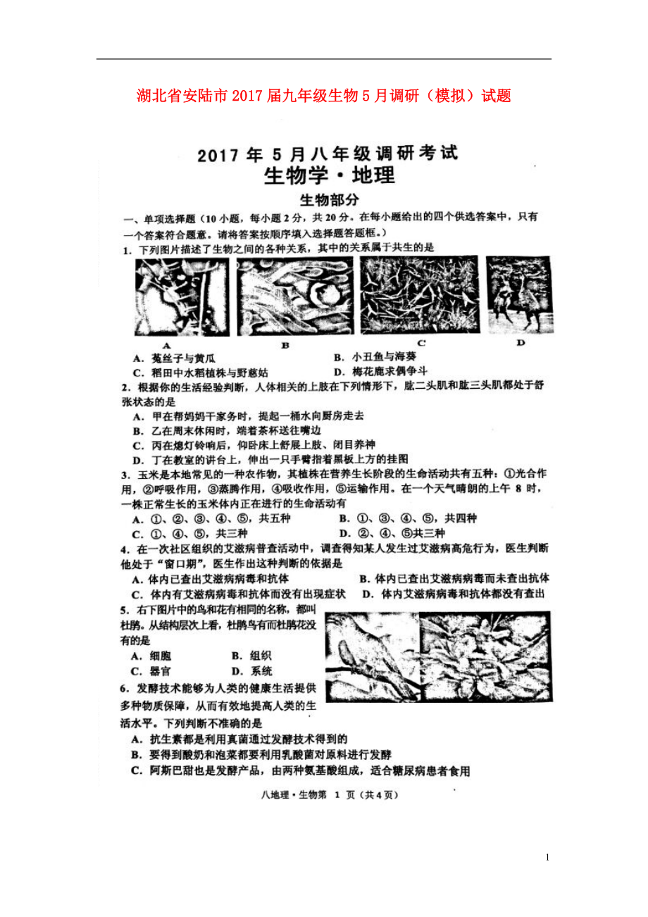 湖北省安陆市2017届九年级生物5月调研（模拟）试题（扫描版）_第1页