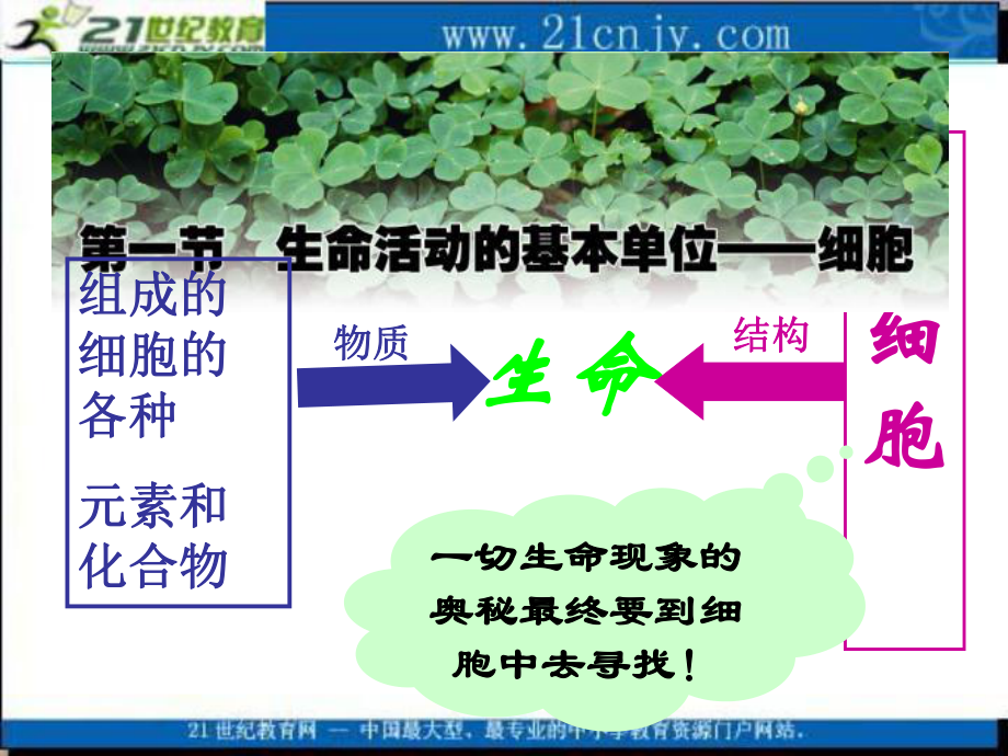 生物：31《生命活動的基本單位——細胞》課件2蘇教版必修課件_第1頁