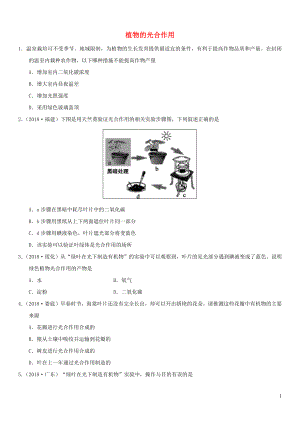 2019屆中考生物 專題匯編 植物的光合作用