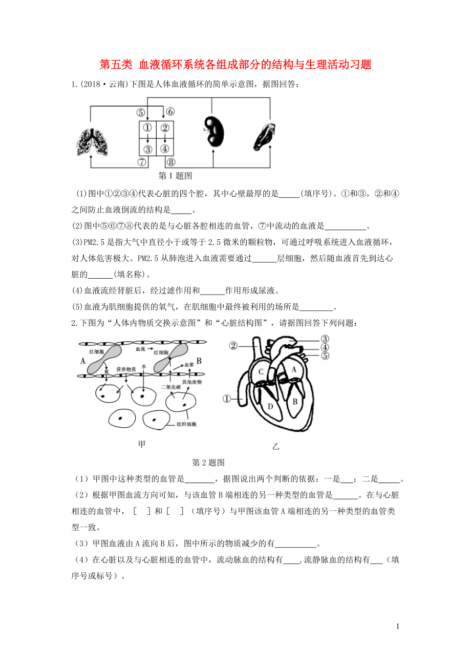 2019中考生物总复习 第二部分 重点题型探究 题型二 识图题 第五类 血液循环系统各组成部分的结构与生理活动习题_第1页