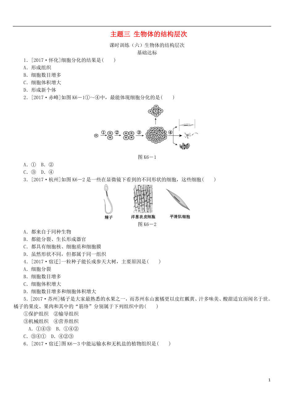 （北京專版）2018年中考生物復(fù)習方案 主題三 生物體的結(jié)構(gòu)層次 第6課時 生物體的結(jié)構(gòu)層次作業(yè)手冊_第1頁