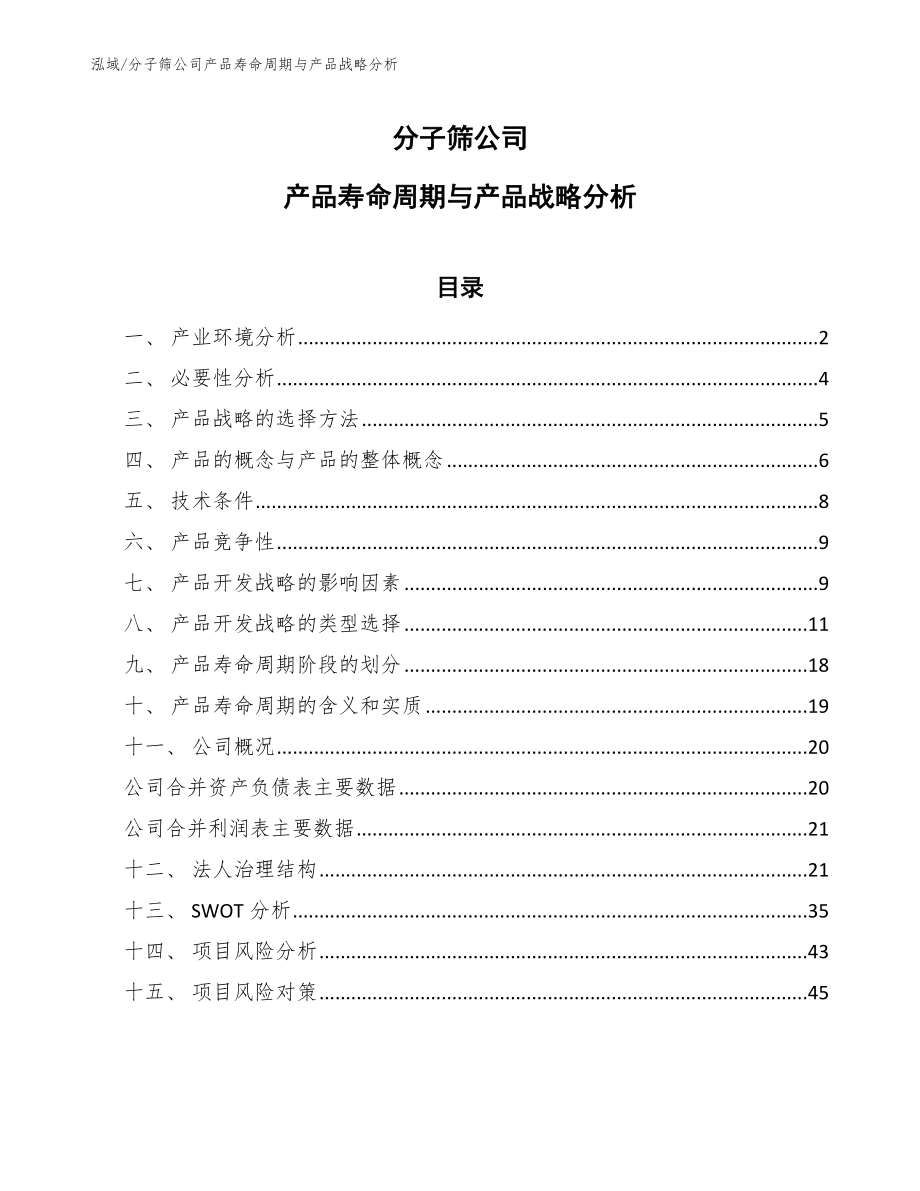 分子筛公司产品寿命周期与产品战略分析【参考】_第1页