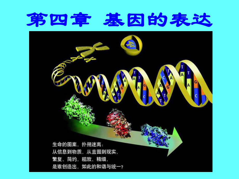 基因的表达第一节基因指导蛋白质的合成_第1页