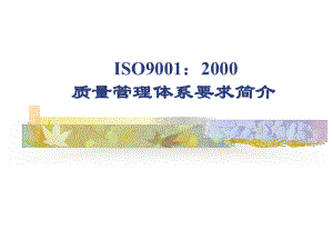 ISO9001：2000质量体系要求简介(ppt 128页)