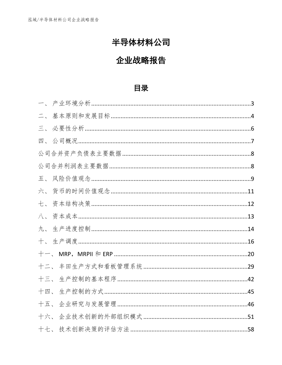 半导体材料公司企业战略报告_参考_第1页