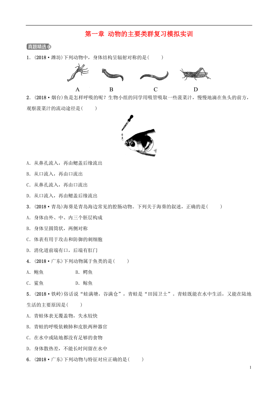 （江西專版）2019屆中考生物 第五單元 生物圈中的其他生物 第一章 動物的主要類群復(fù)習(xí)模擬實訓(xùn)_第1頁