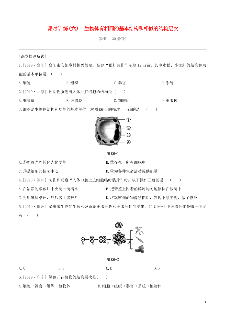 七年級(jí)生物下冊(cè) 第四單元 環(huán)境中生物的統(tǒng)一性 課時(shí)訓(xùn)練06 生物體有相同的基本結(jié)構(gòu)和相似的結(jié)構(gòu)層次（含解析）（新版）蘇科版_第1頁(yè)