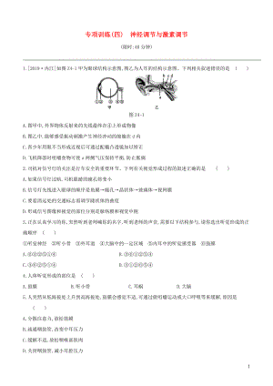 （新課標(biāo)）2020年中考生物復(fù)習(xí) 專項(xiàng)訓(xùn)練04 神經(jīng)調(diào)節(jié)與激素調(diào)節(jié)