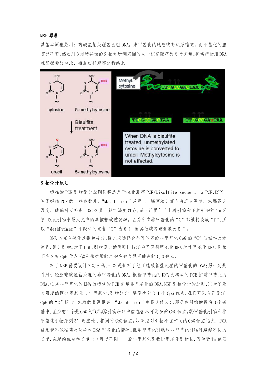 甲基化特异性PCR(MSP)原理与引物设计说明_第1页