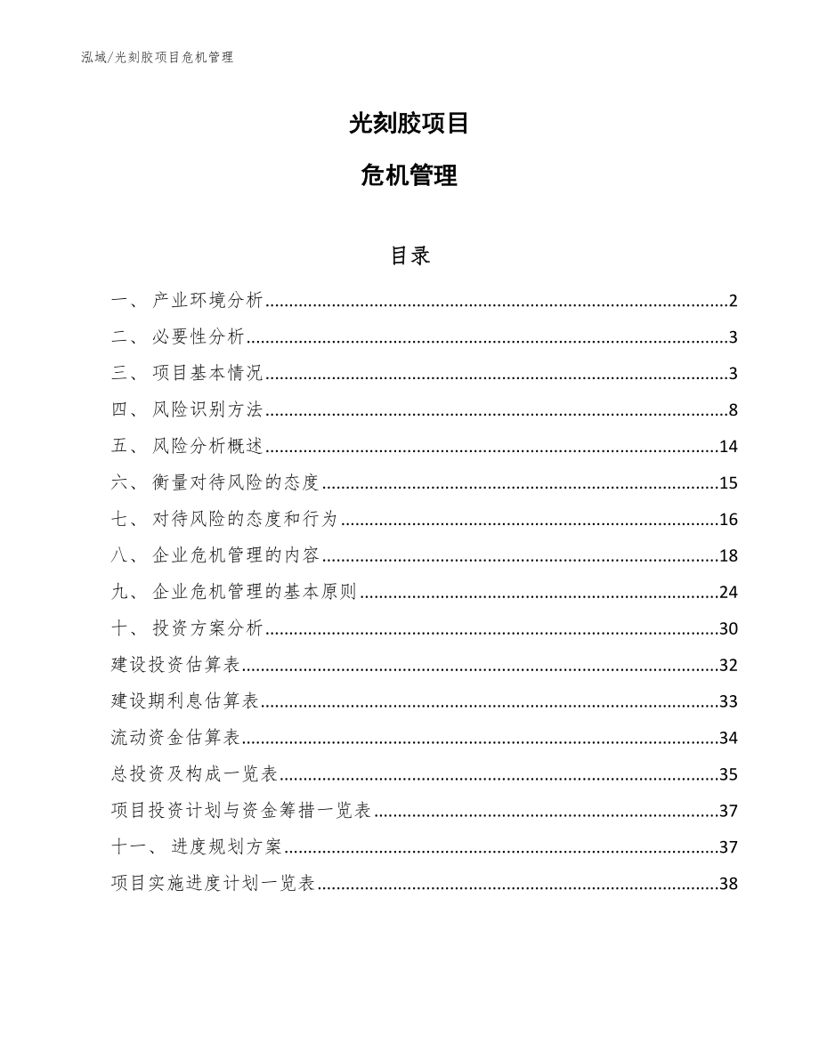 光刻胶项目危机管理（范文）_第1页