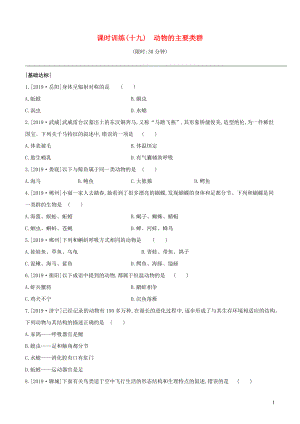 （新課標(biāo)）2020年中考生物復(fù)習(xí) 第五單元 生物的多樣性及其保護(hù) 課時(shí)訓(xùn)練19 動(dòng)物的主要類群