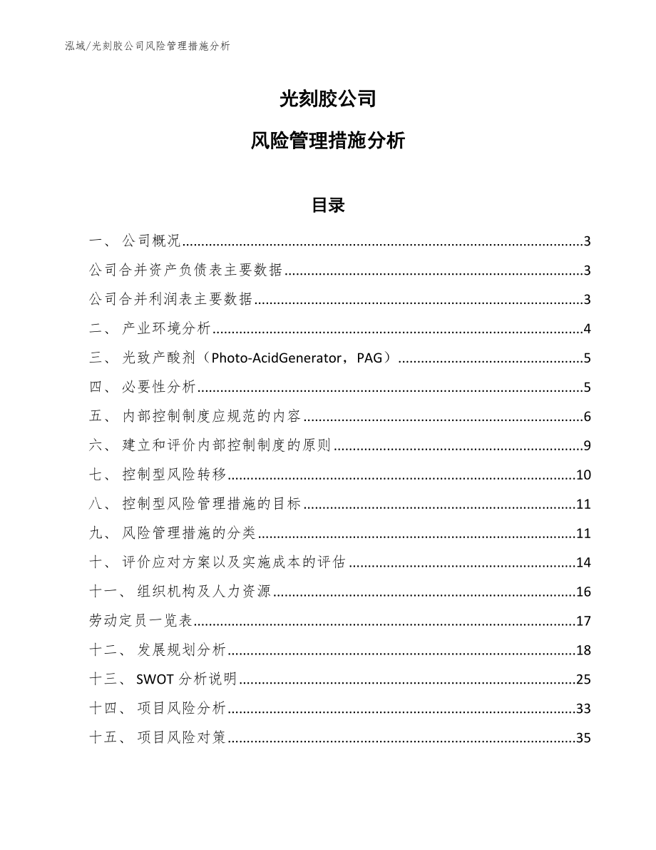 光刻胶公司风险管理措施分析（参考）_第1页