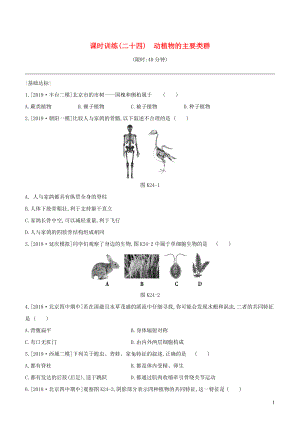 （北京專版）2020年中考生物復(fù)習(xí) 主題八 生物的多樣性 課時(shí)訓(xùn)練24 動植物的主要類群