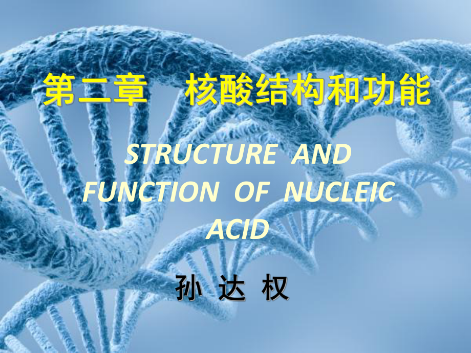 CH2核酸的结构与功能2h课件_第1页