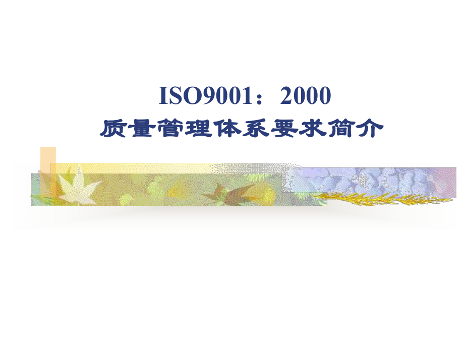 ISO9001：2000质量管理体系要求（PPT 128页）_第1页