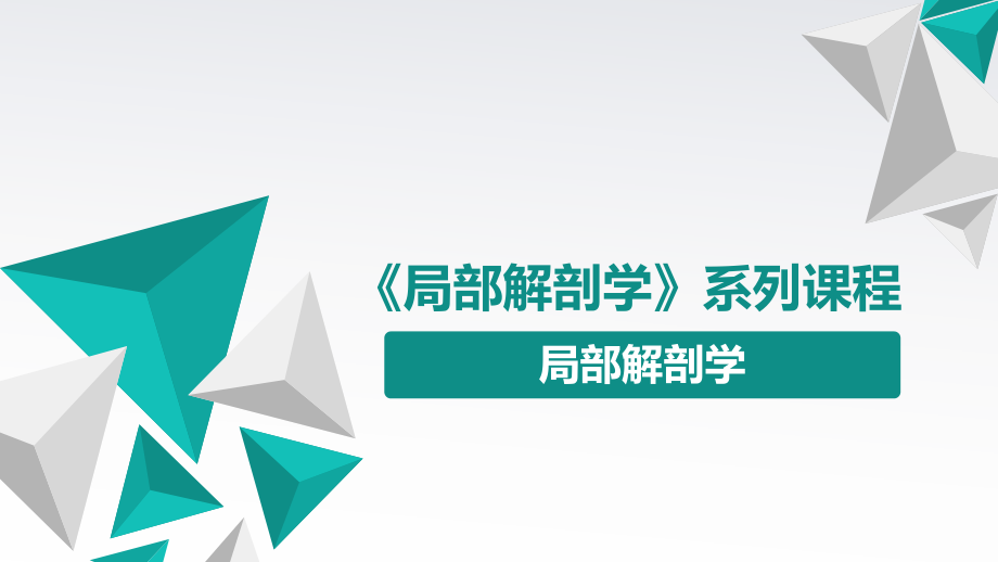 《局部解剖学》系列课程：局部解剖学PPT课件_第1页