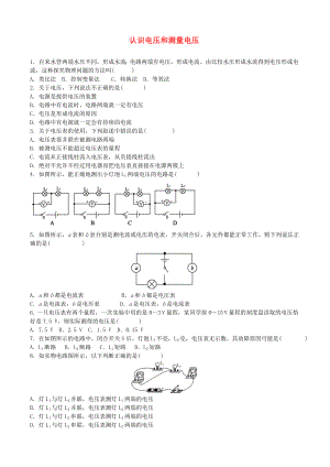 2018年中考物理 認(rèn)識(shí)電壓和測量電壓復(fù)習(xí)專項(xiàng)訓(xùn)練