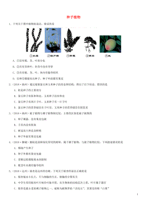 2019屆中考生物 專題匯編 種子植物