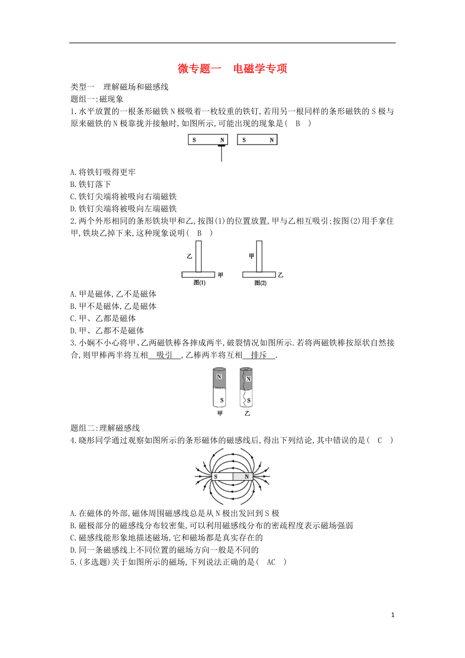 2018年九年級(jí)物理下冊(cè) 微專(zhuān)題一 電磁學(xué)專(zhuān)項(xiàng) （新版）粵教滬版_第1頁(yè)