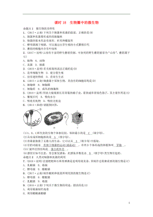 （云南專版）2019屆中考生物 教材考點梳理 第18課時 生物圈中的微生物