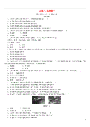（北京專版）2018年中考生物復(fù)習(xí)方案 主題九 生物技術(shù) 第27課時(shí) 生物技術(shù)作業(yè)手冊(cè)